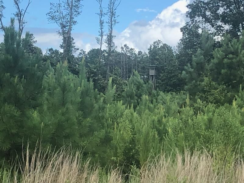 370 Beulah Highway, Sparta, GA 31087 MLS 9042441