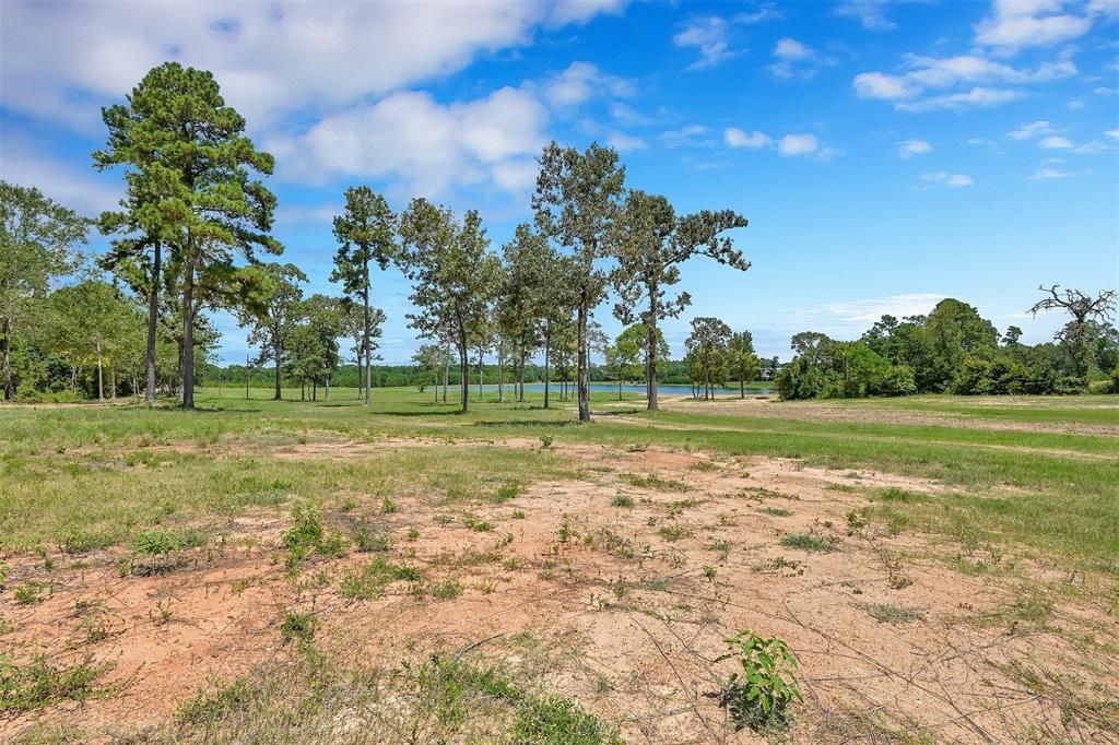 Keenan Cut Off Road, Montgomery, TX 77316 MLS 87156910