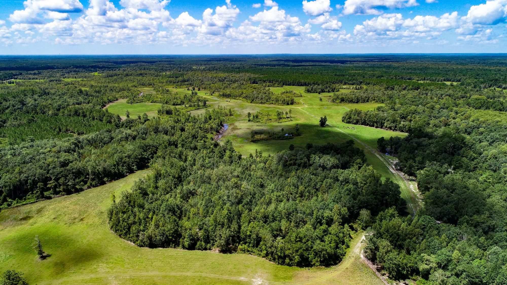 1,138 acres in Jefferson County, Florida