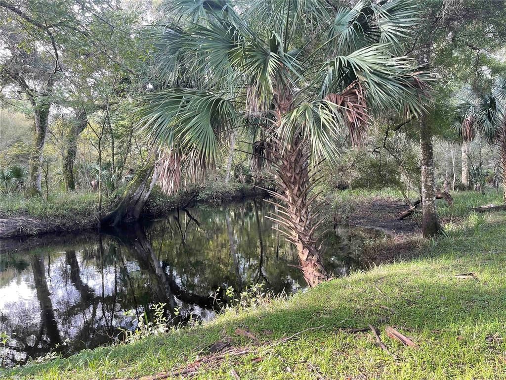 43.98 acres in Levy County, Florida