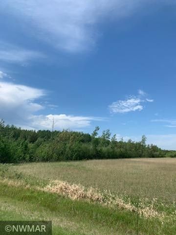 120 acres in Lake of the Woods County, Minnesota