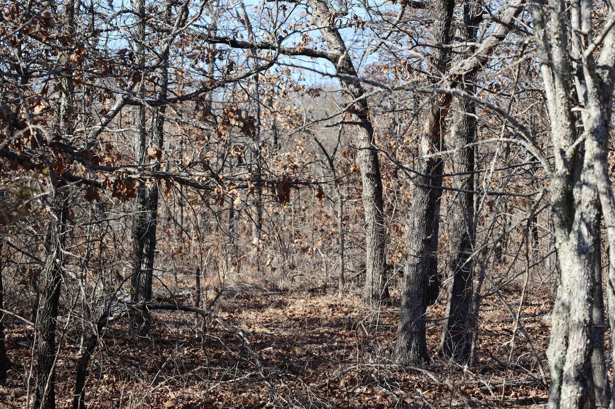 10 acres in Pittsburg County, Oklahoma