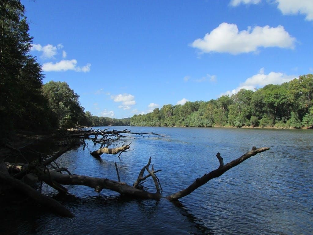 2,850 acres in Calhoun County, South Carolina