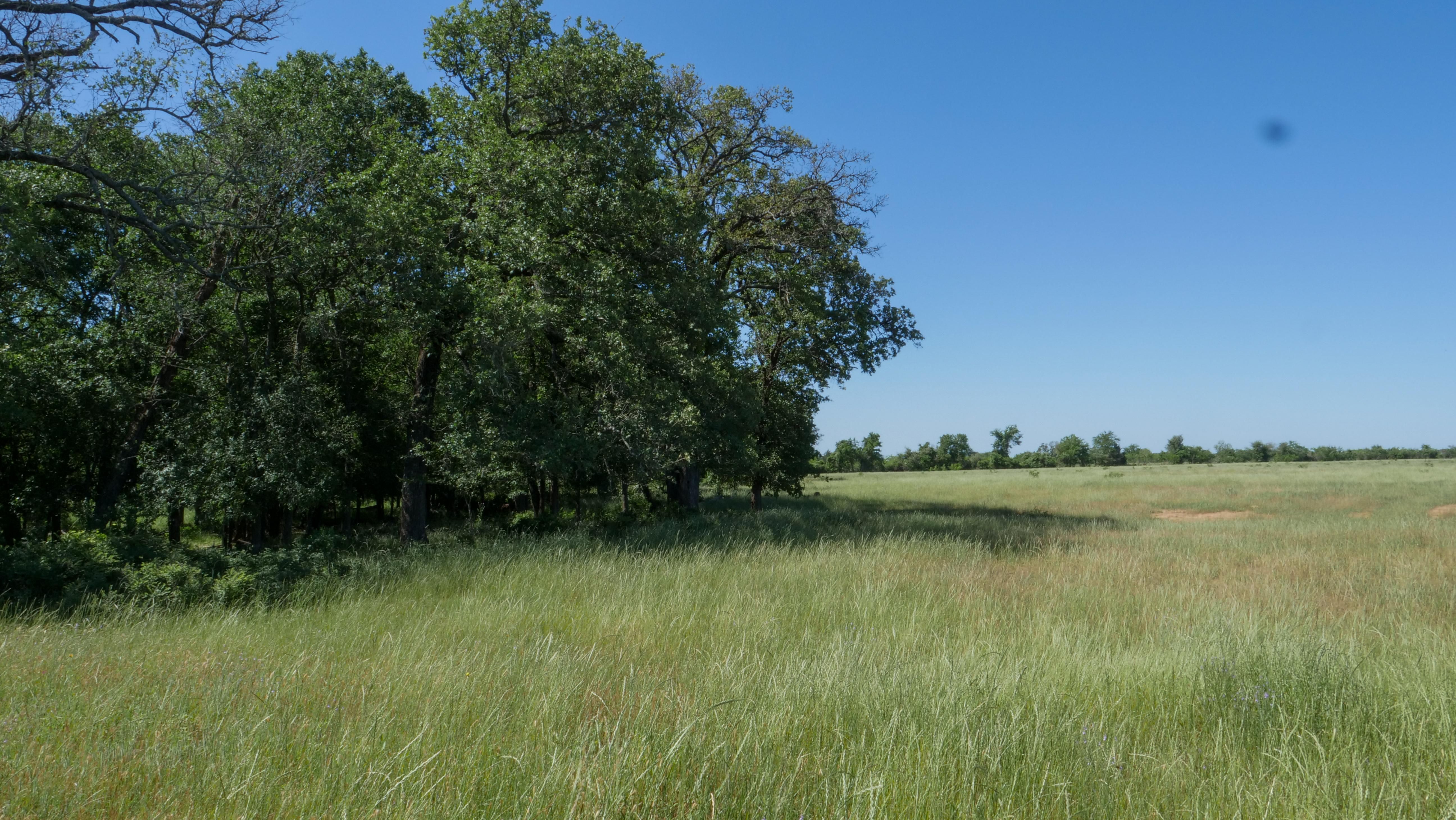 12 acres in Milam County, Texas