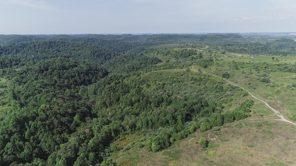 344 acres in Perry County, Kentucky