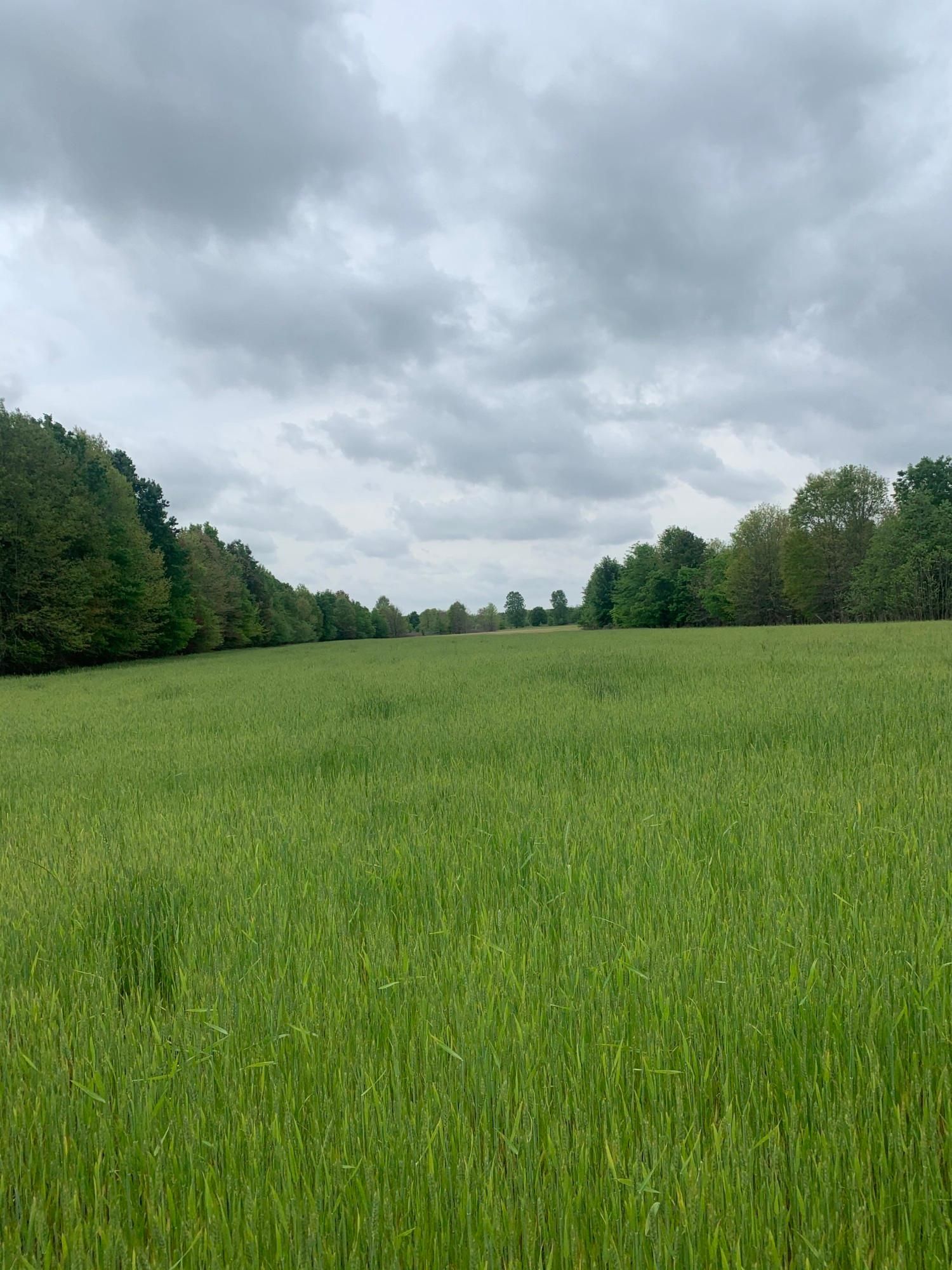 1,300 acres in Coahoma County, Mississippi