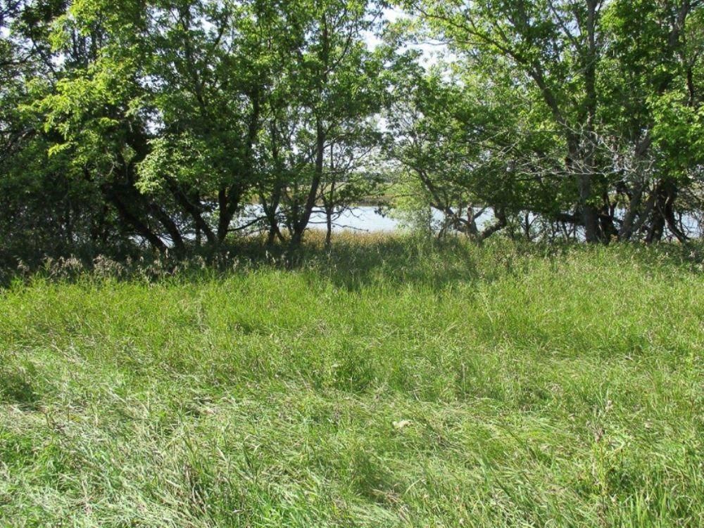 399 acres in Ransom County, North Dakota