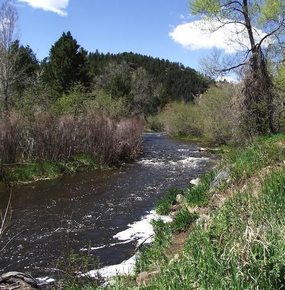 40 acres in Grand County, Colorado