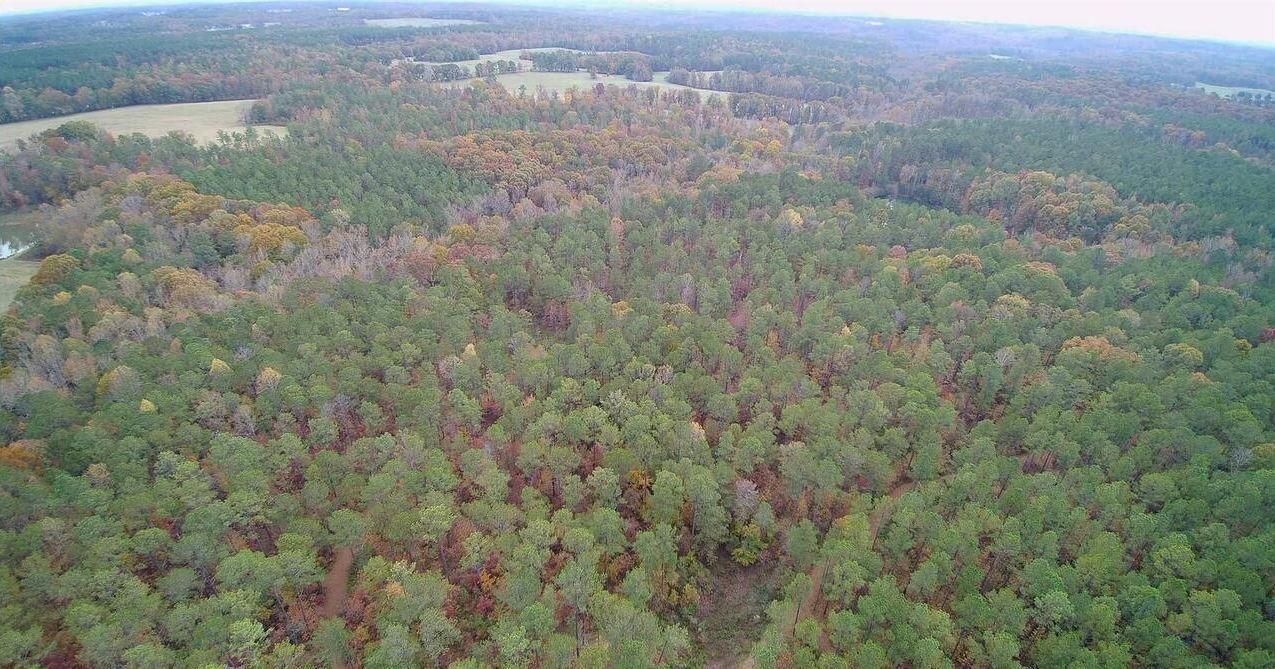 65.1 acres in Walton County,