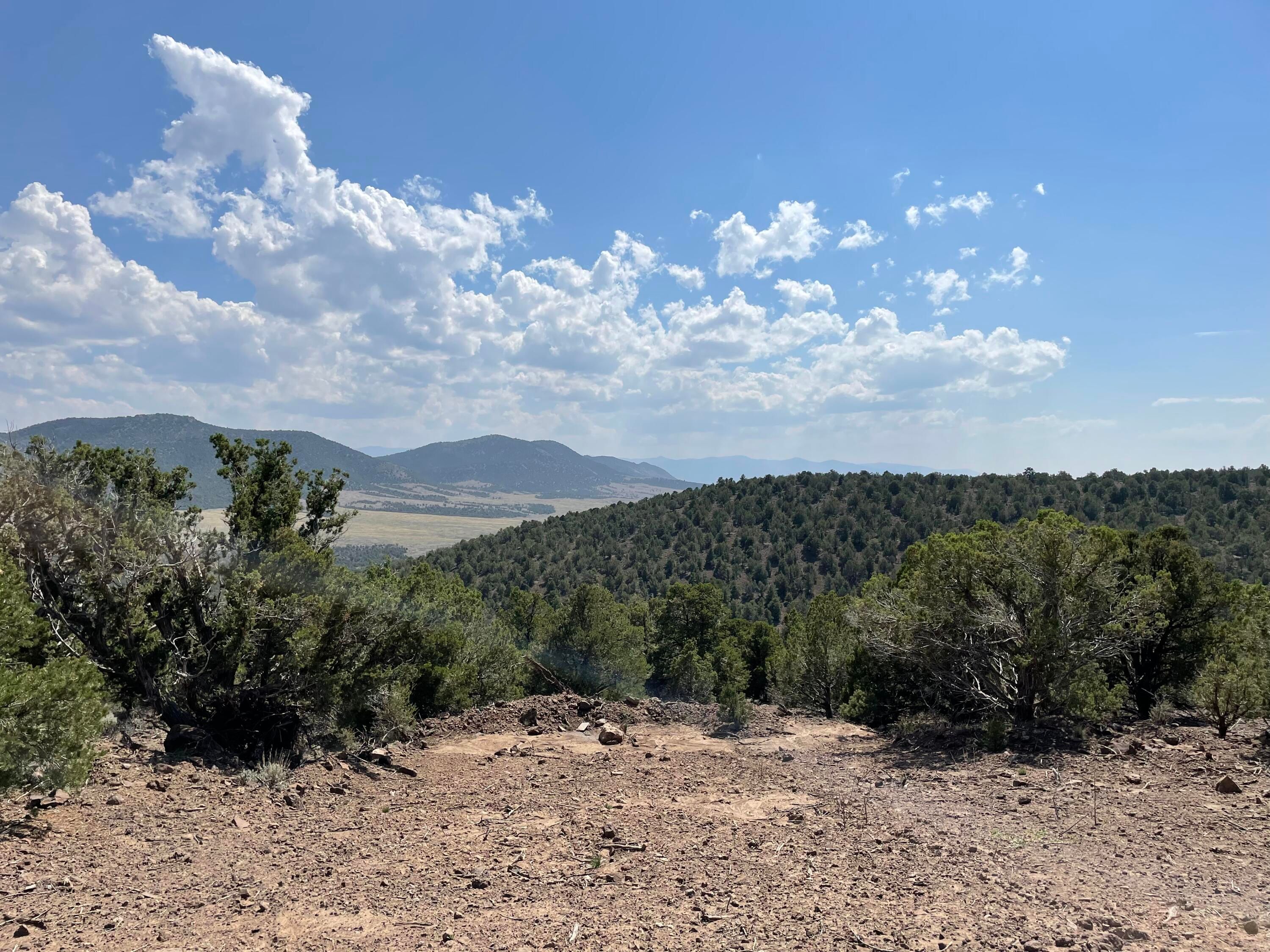 20 acres in Iron County, Utah