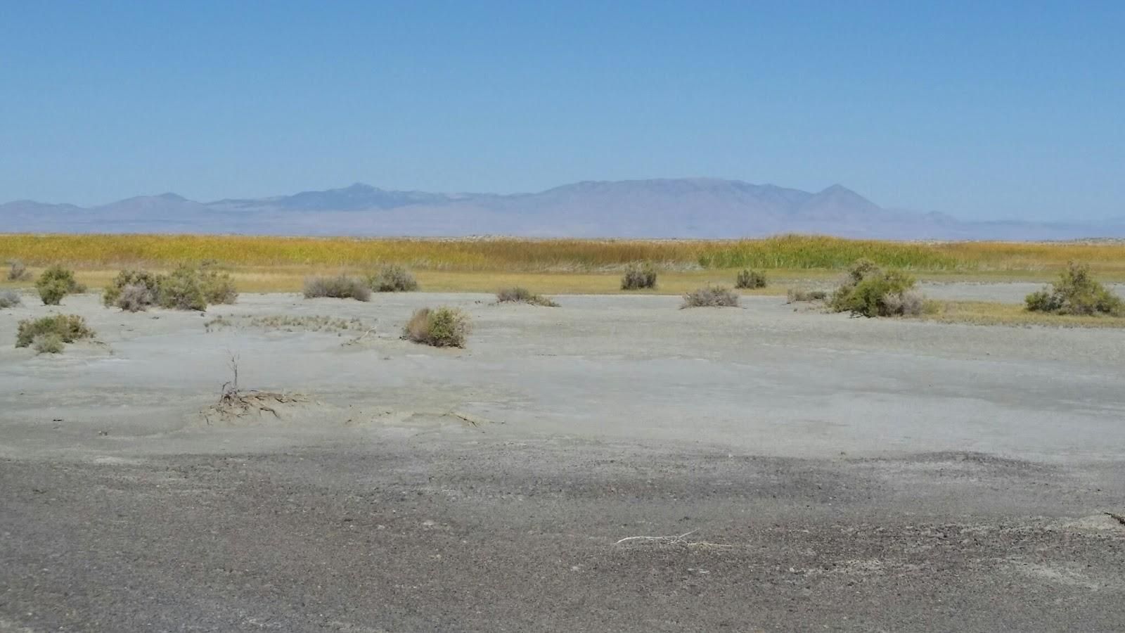 80 acres in Lucin, UT, 84083