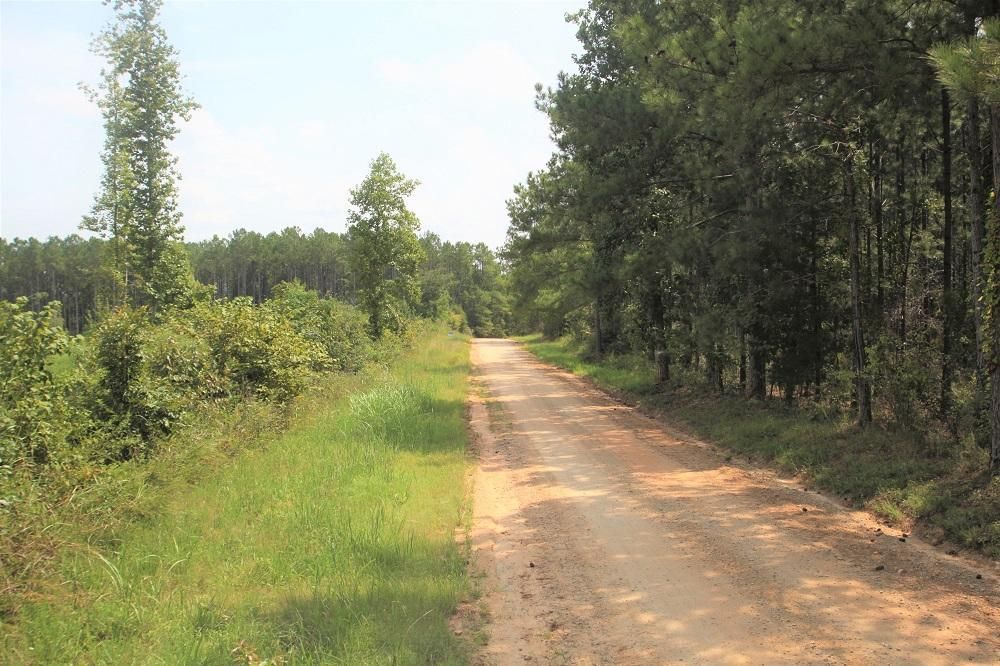 5 acres in Taliaferro County,