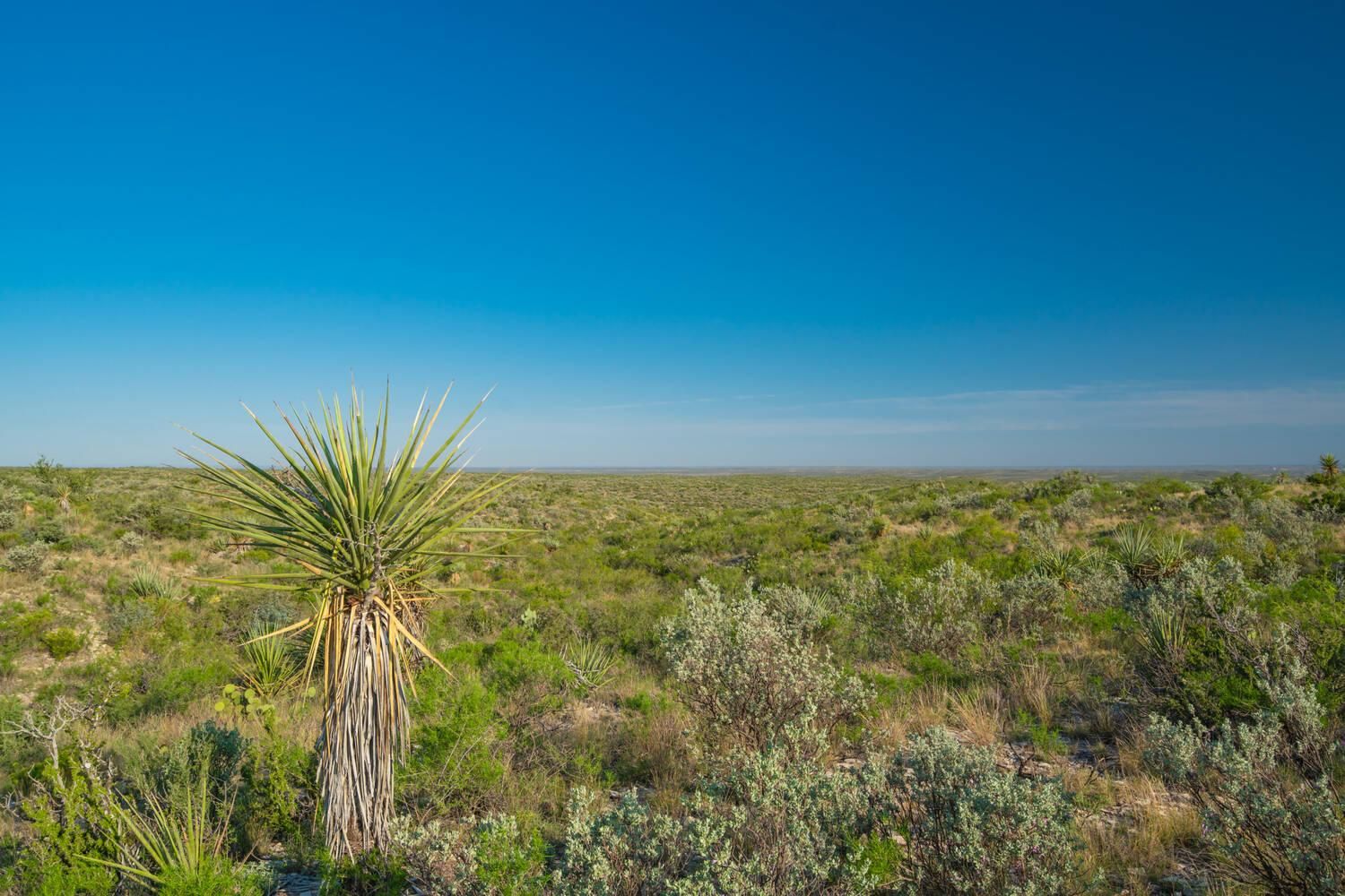100 acres in Terrell County, Texas