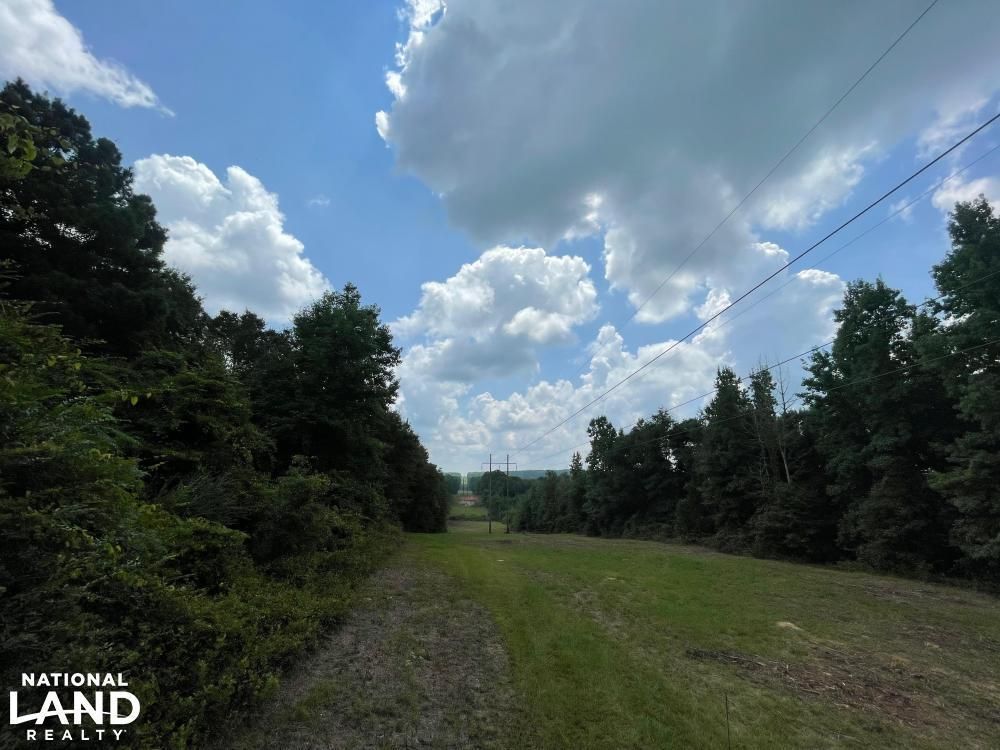 20 acres in Barbour County, Alabama