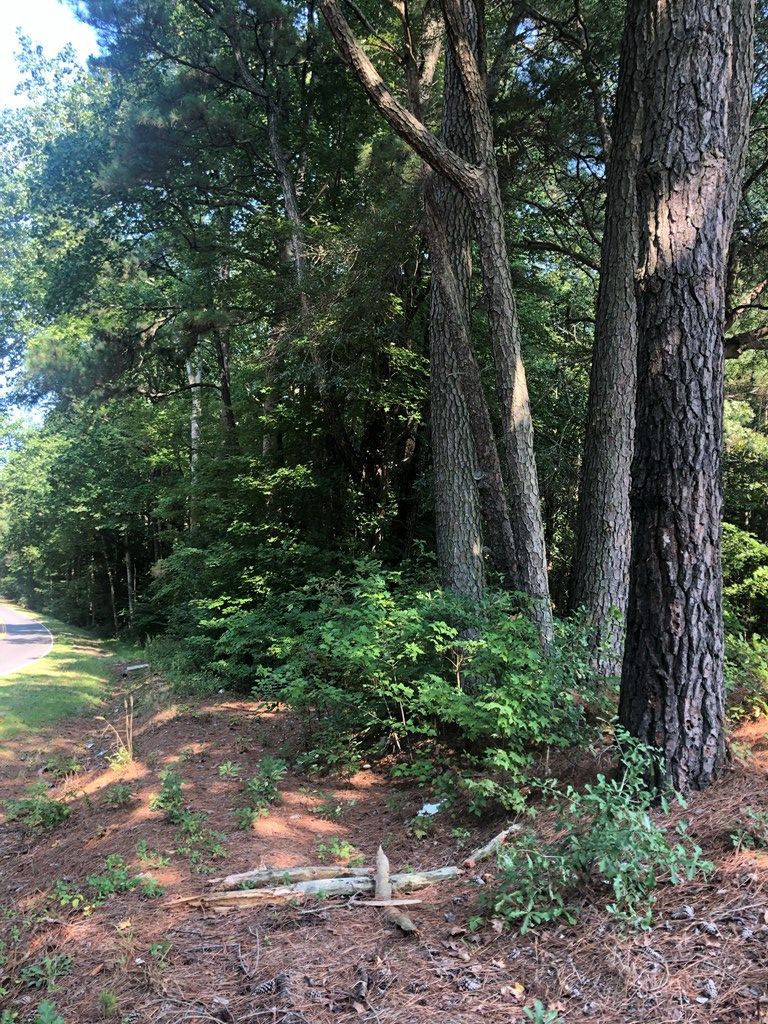 20.05 acres in County, Virginia