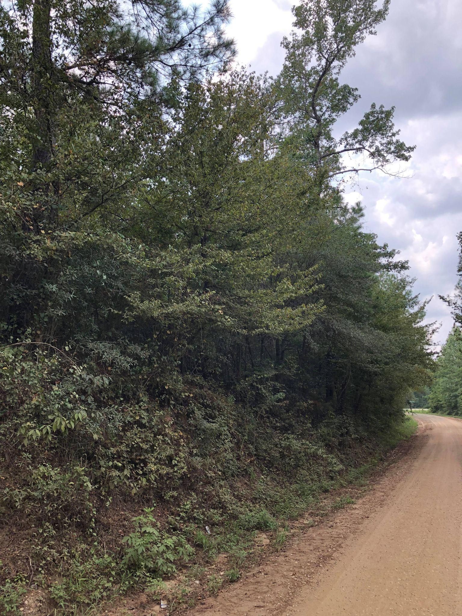 6.95 acres in Newton County, Texas