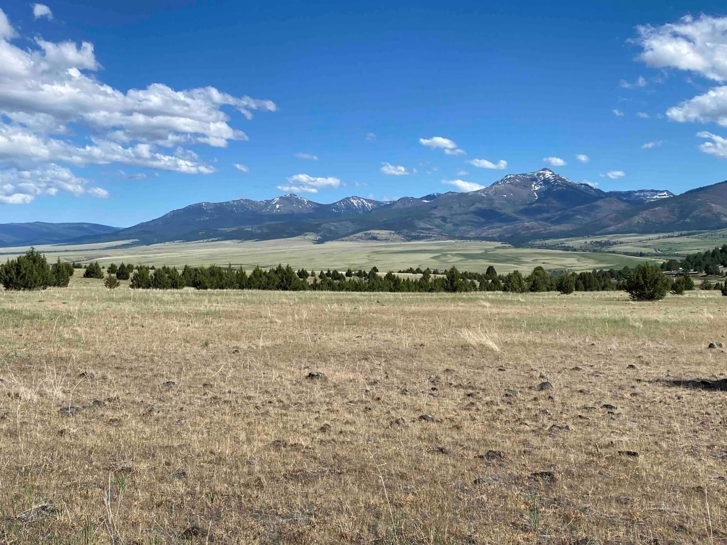 175 acres in Grant County, Oregon