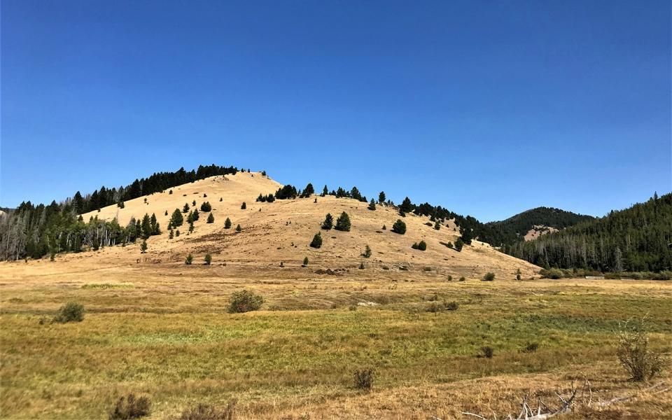 575 acres in Deer Lodge County, Montana