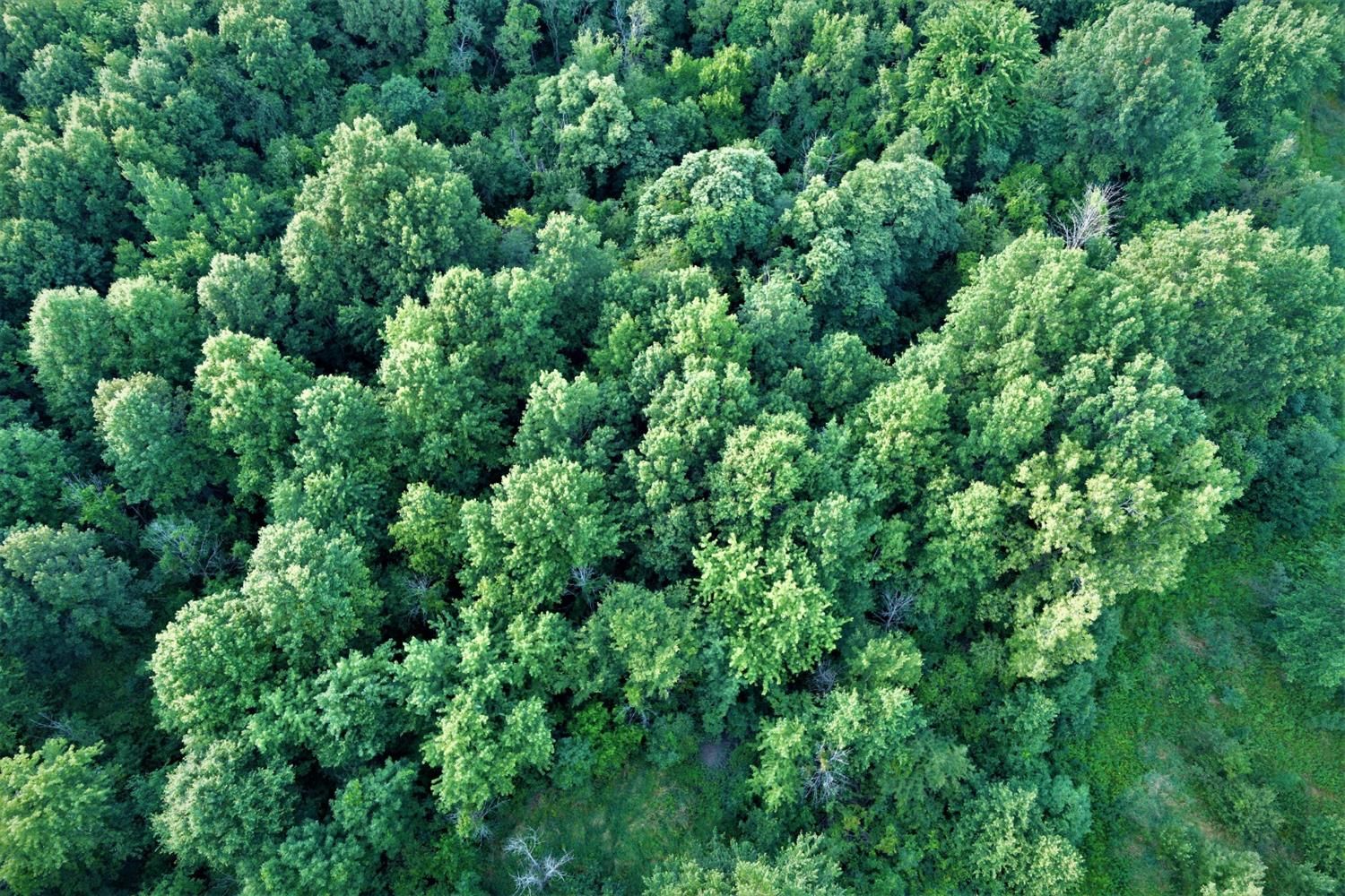 5-3-acres-in-porter-county-indiana