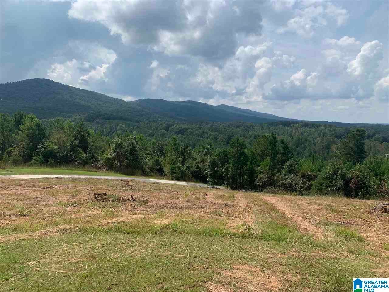 3 acres in Calhoun County, Alabama