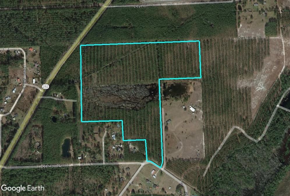 56 acres in Charlton County,