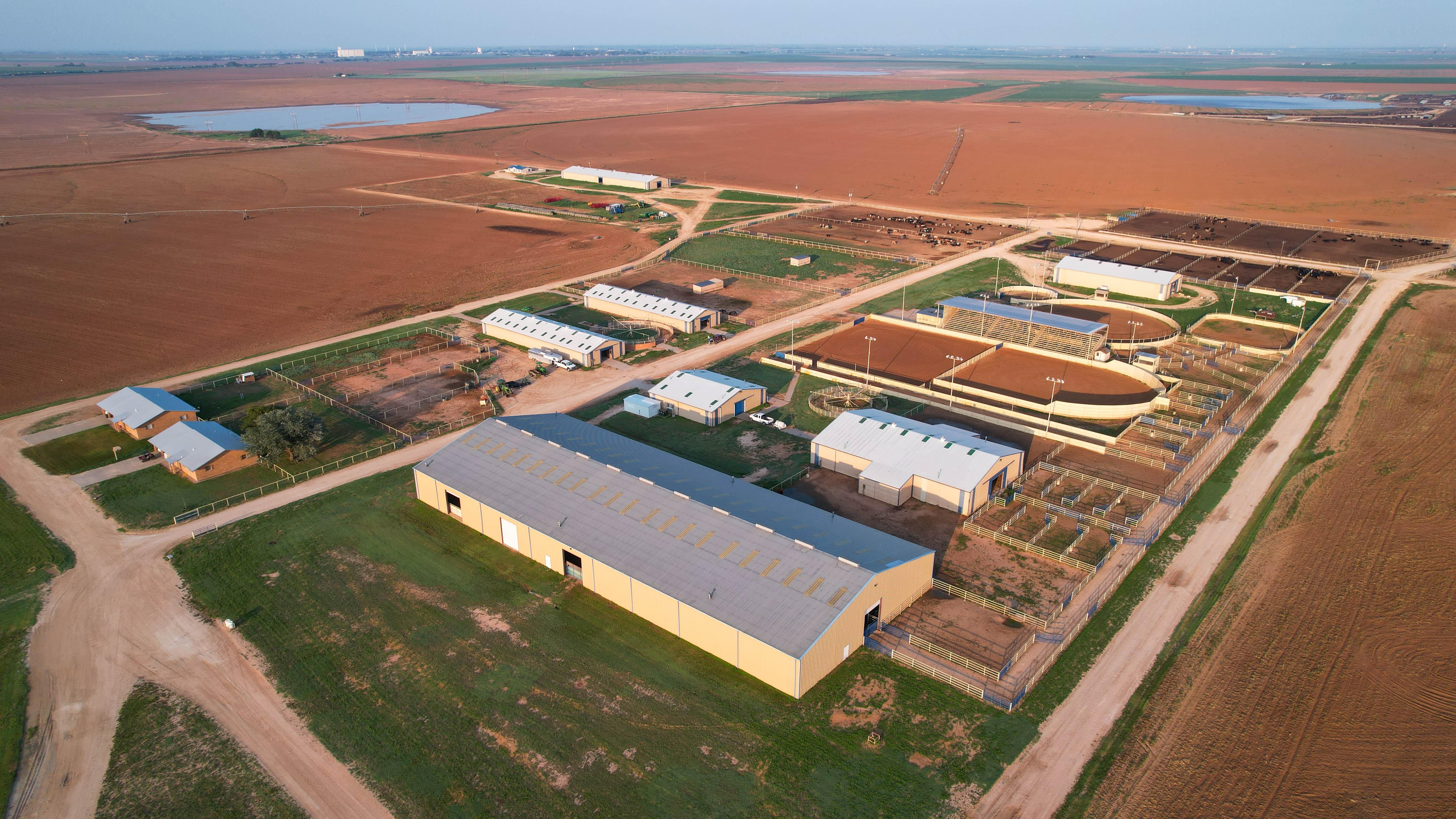 FM2396, Farwell, TX 79325