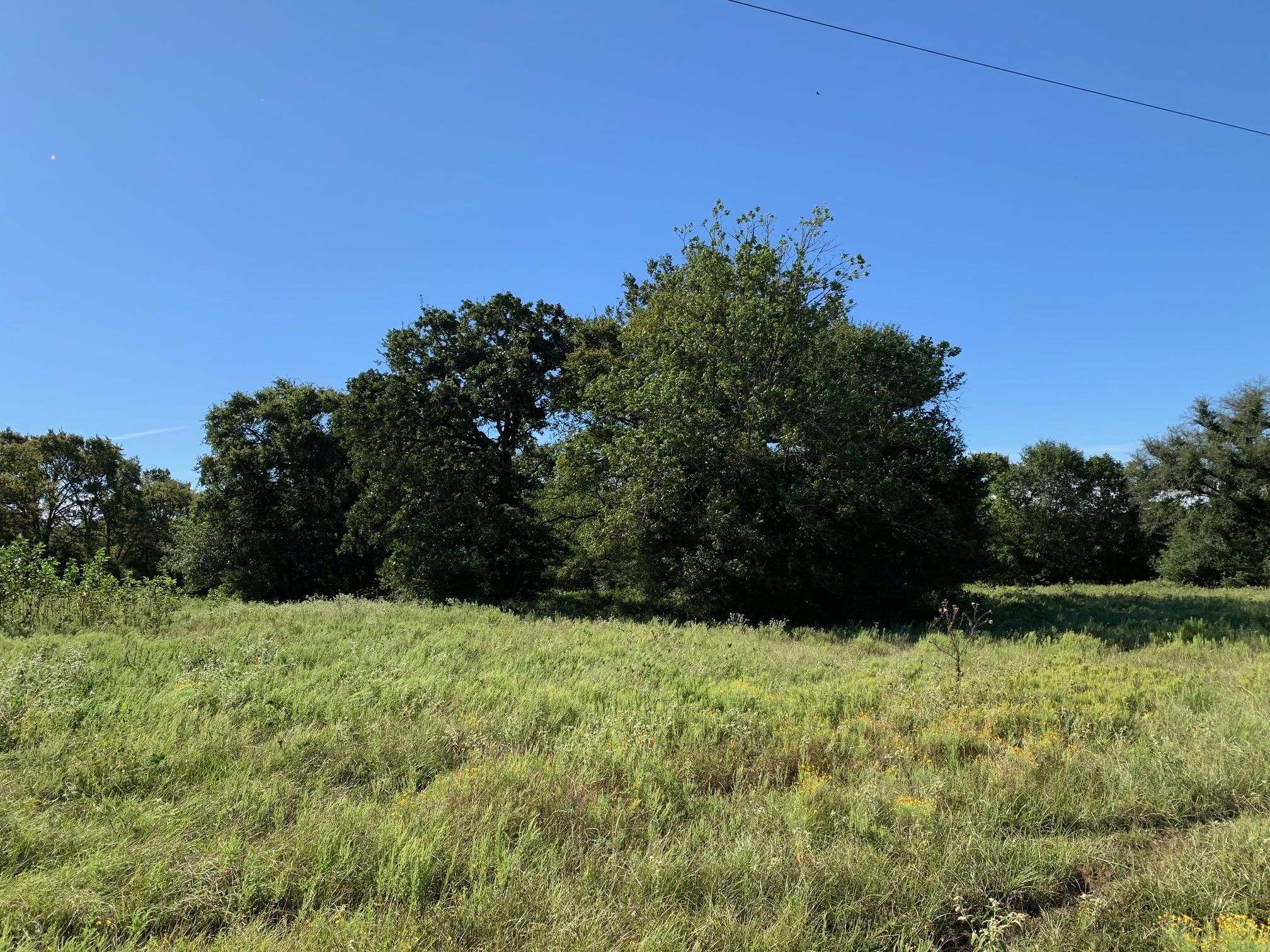 FM 39, Normangee, TX 77871