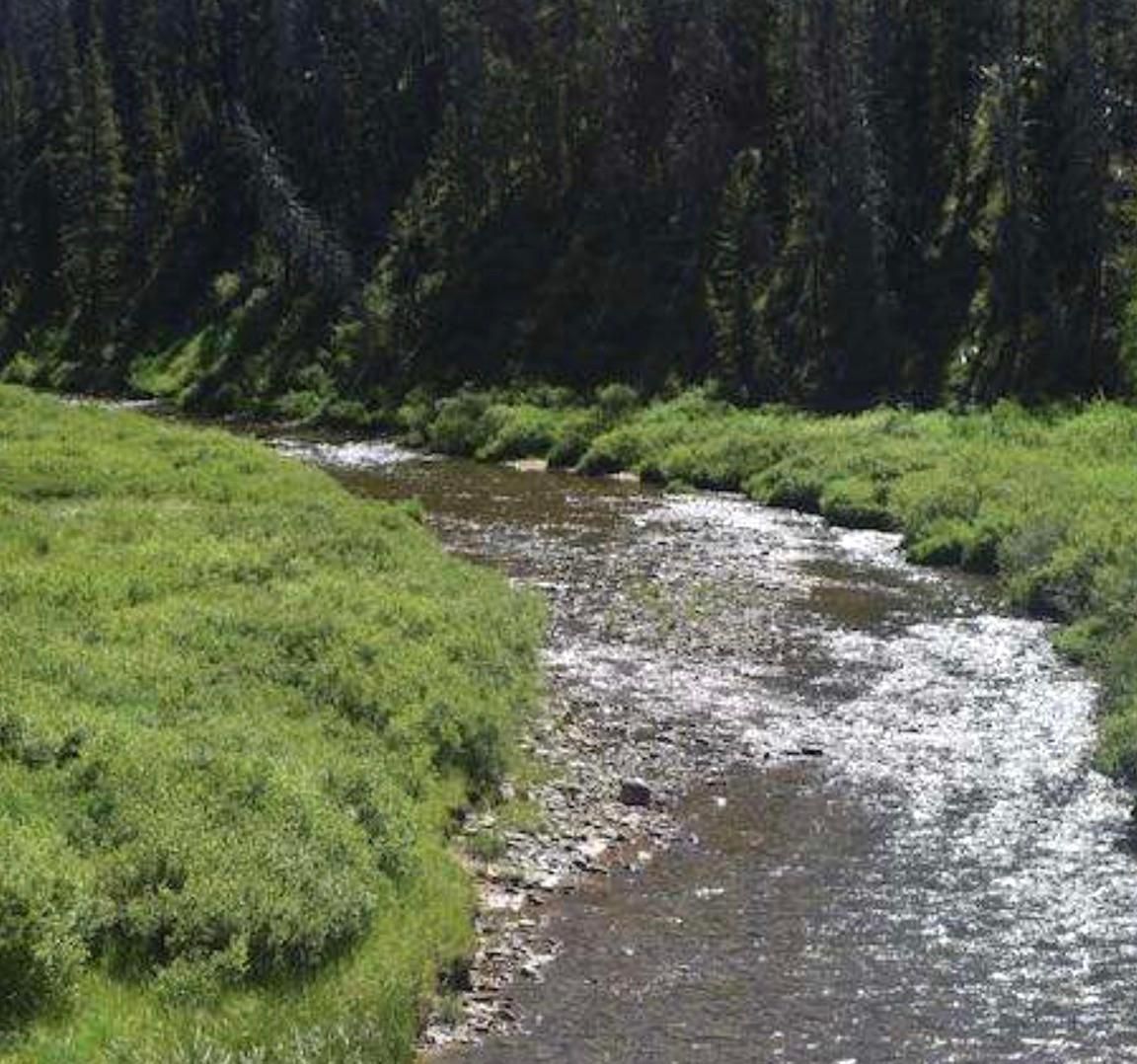 40 acres in Jackson County, Colorado