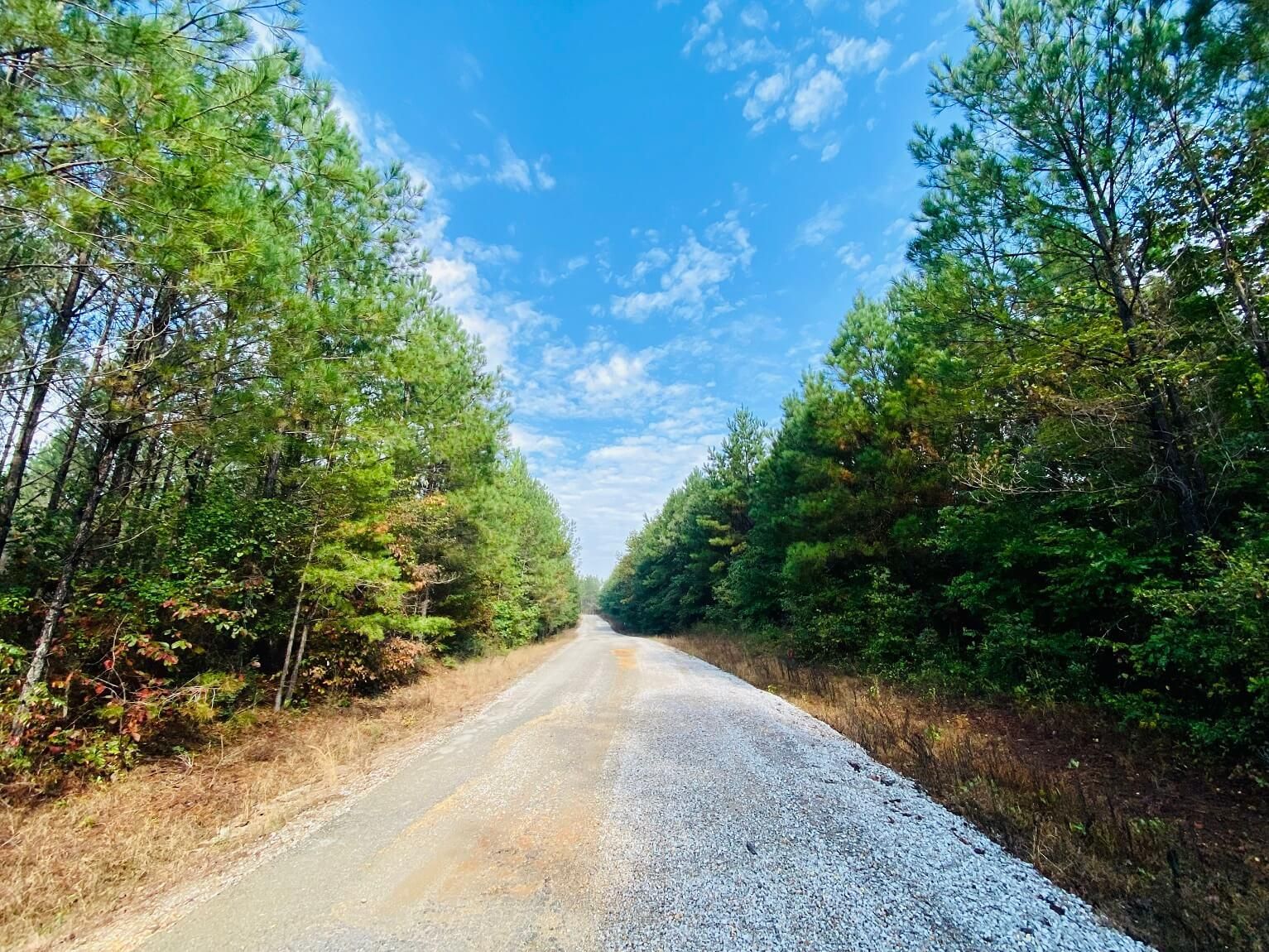 39 acres in Prentiss County, Mississippi