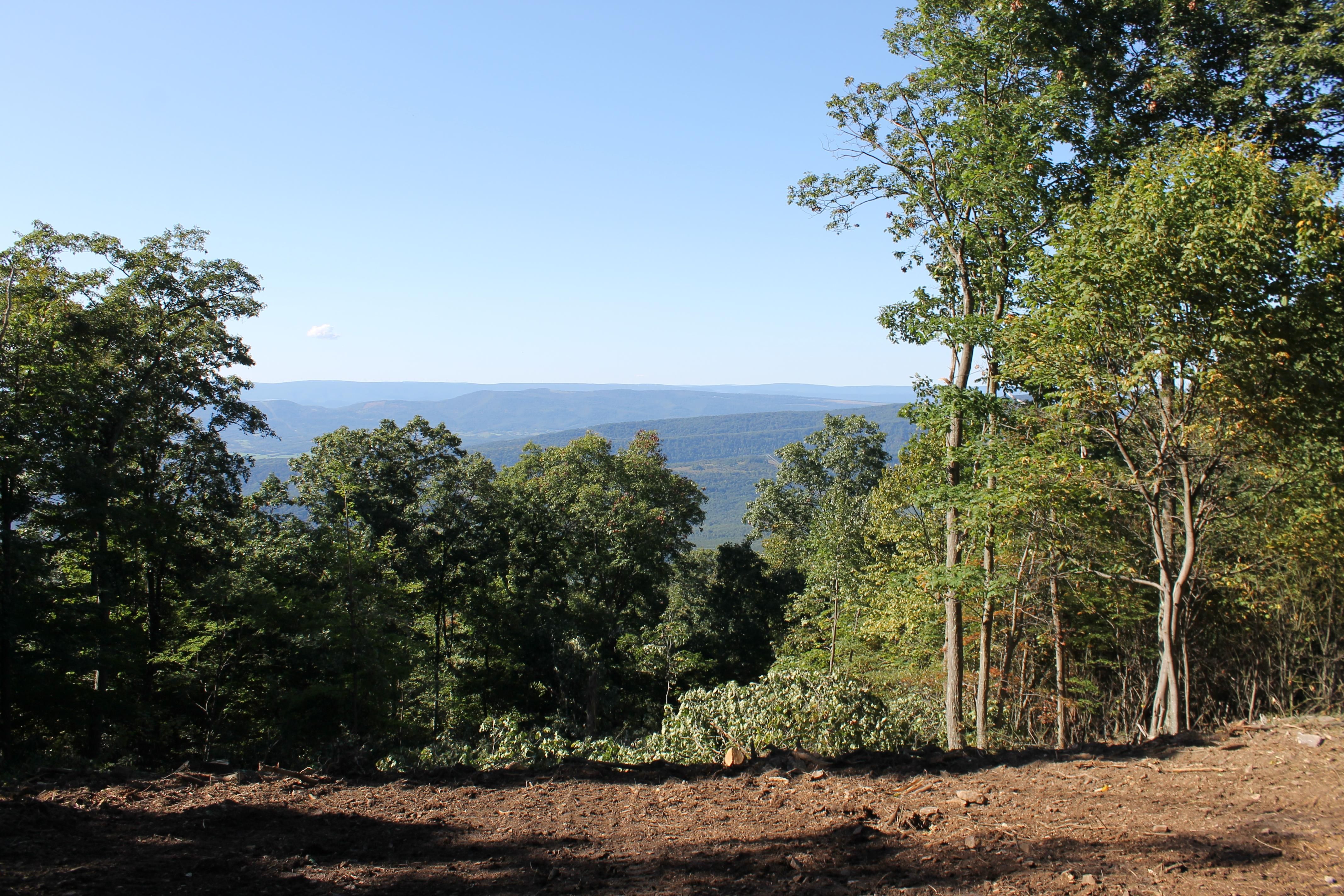 22.28 acres in Hampshire County, West Virginia