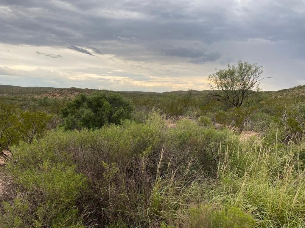293 acres in Terrell County, Texas