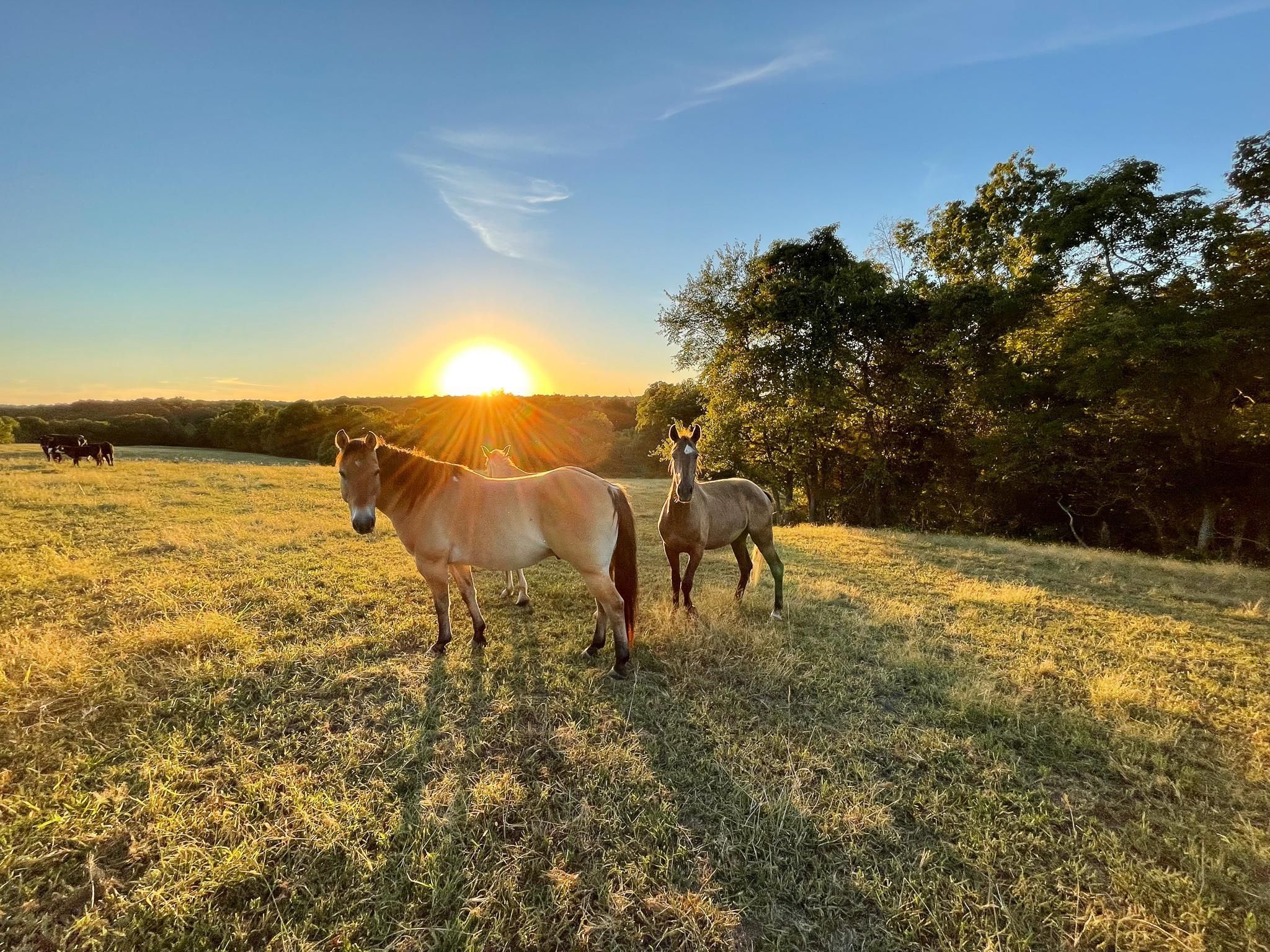 117 acres in Barry County, Missouri