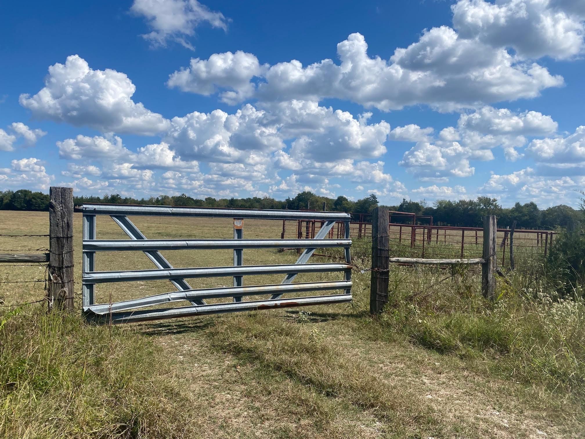 447 acres in Red River County, Texas
