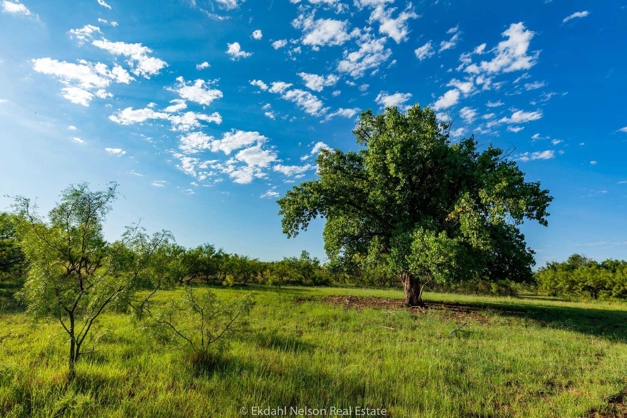 1,101 acres in Dickens County, Texas