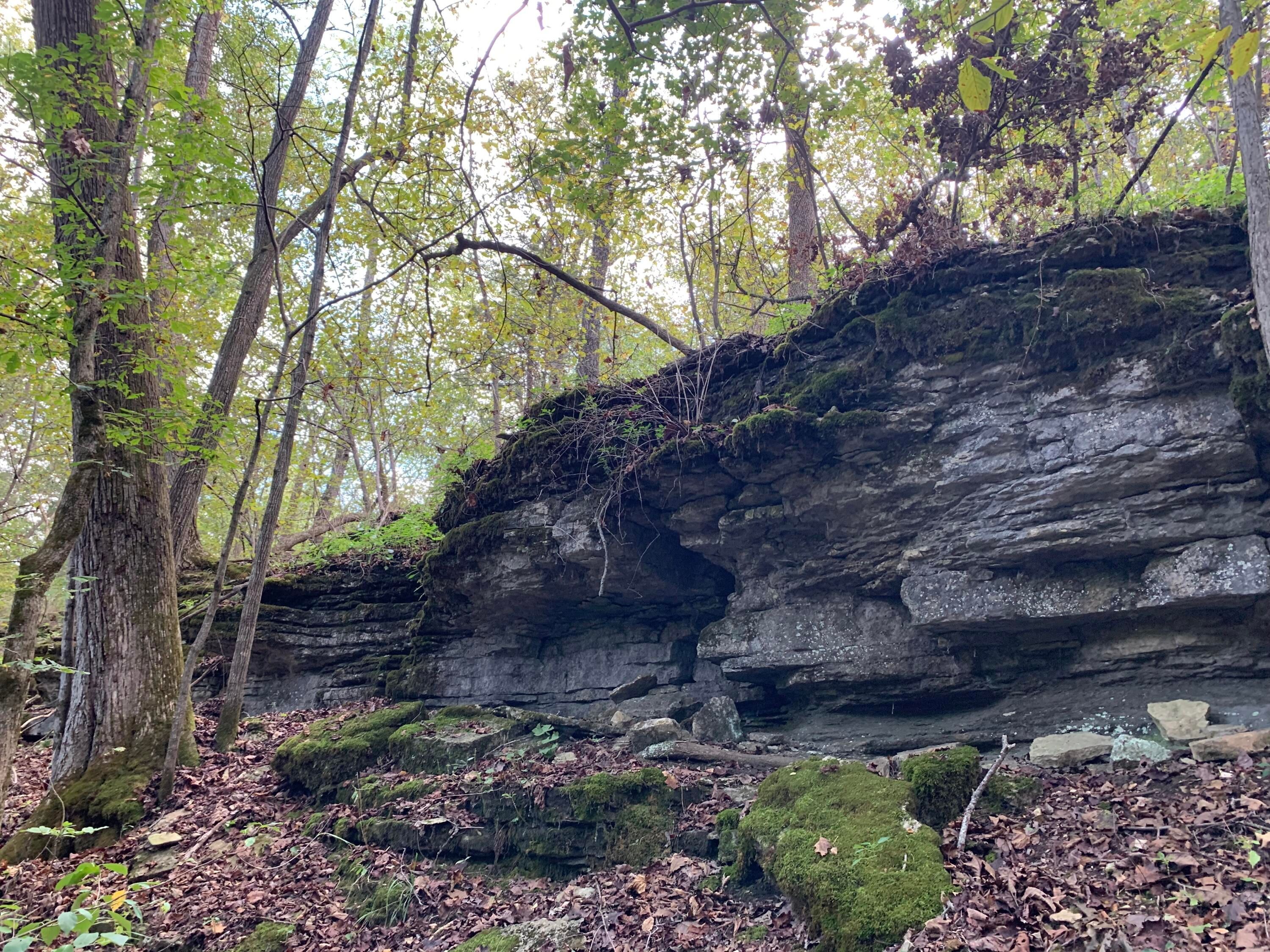 80 acres in Barry County, Missouri