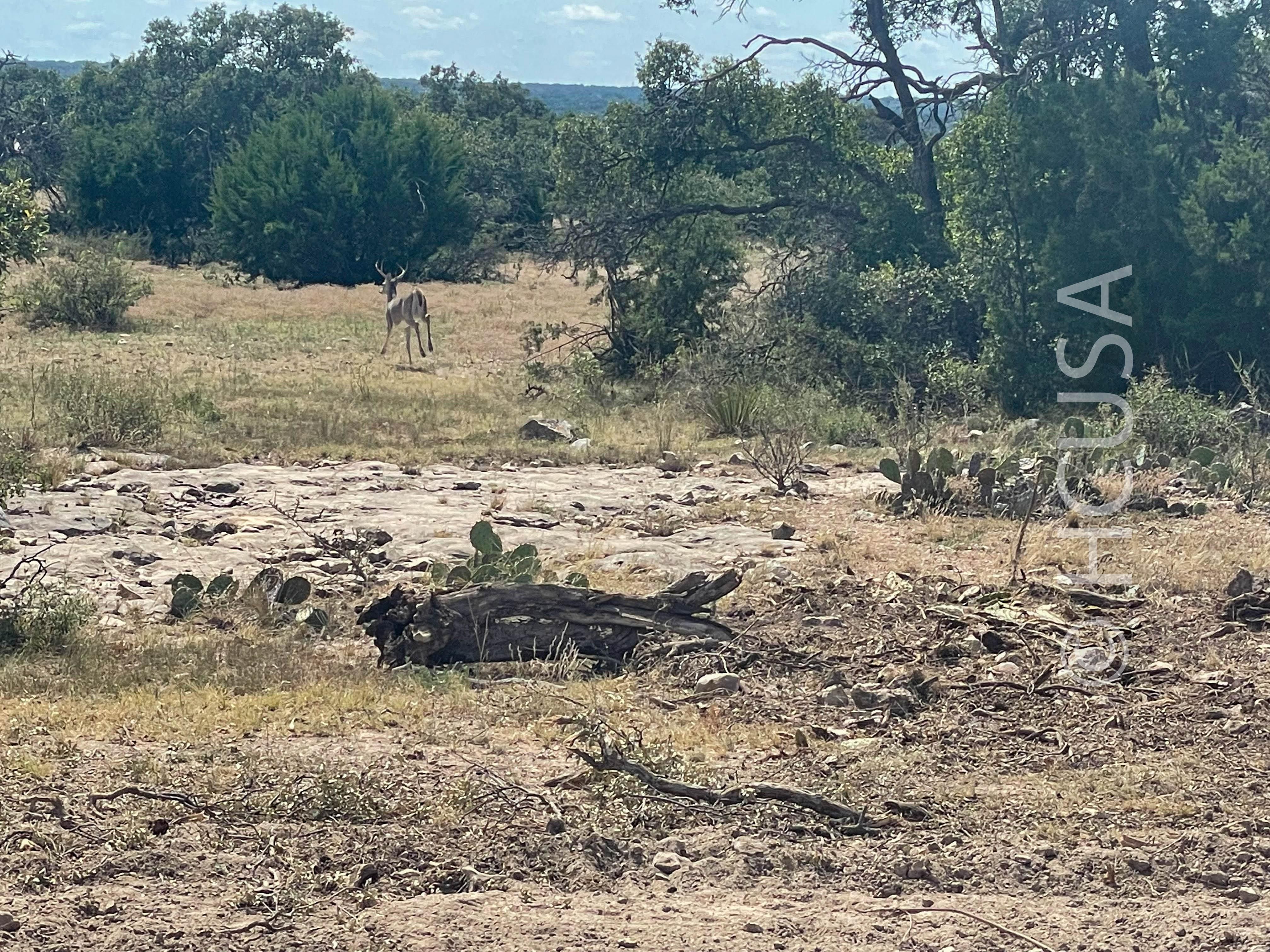 40 acres in Menard County, Texas