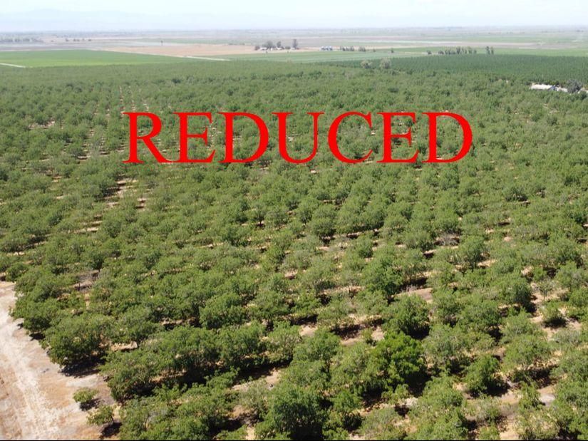 233 acres in Colusa County, California