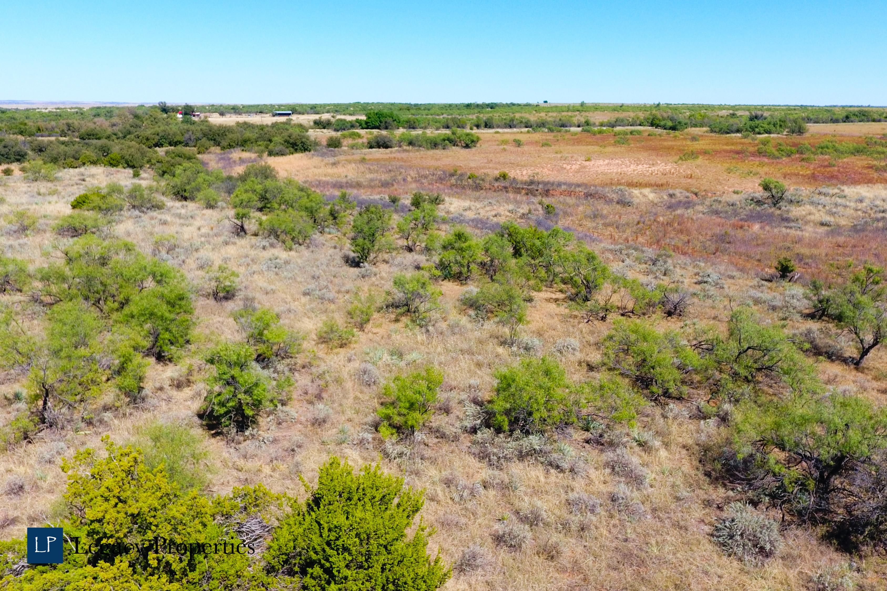 166.02 acres in Cottle County, Texas