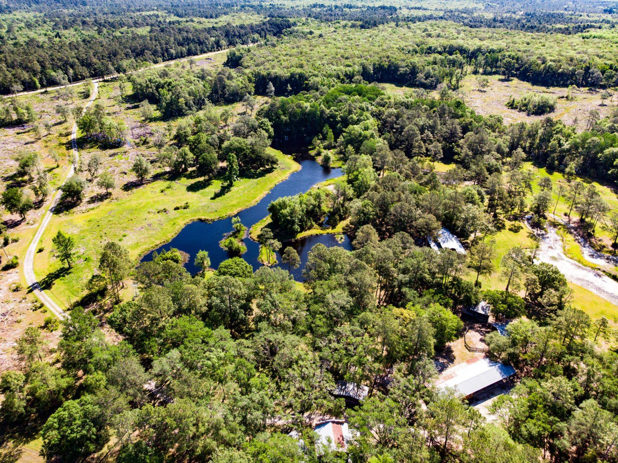 951 acres in Jefferson County, Florida