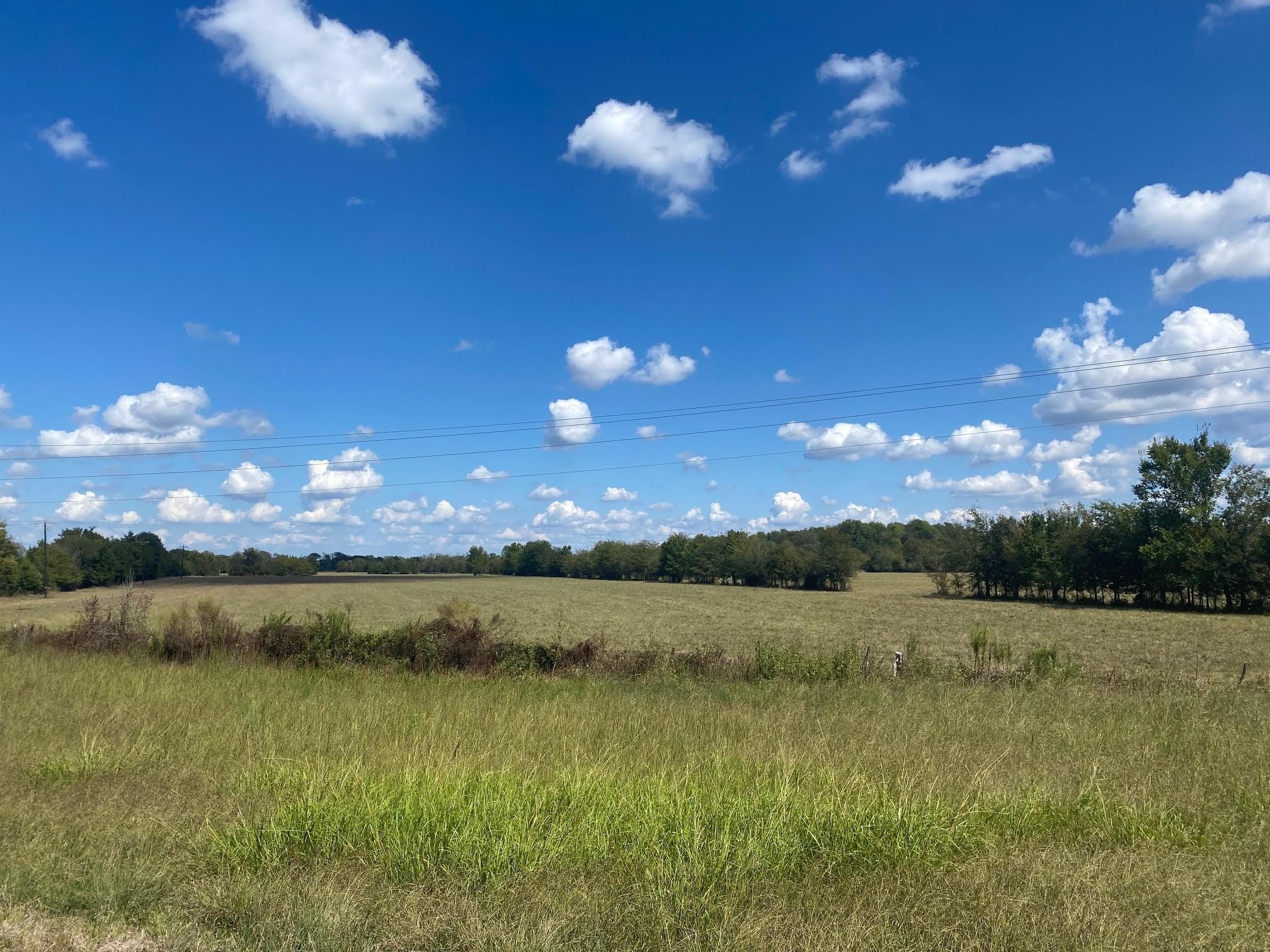 120 acres in Red River County, Texas