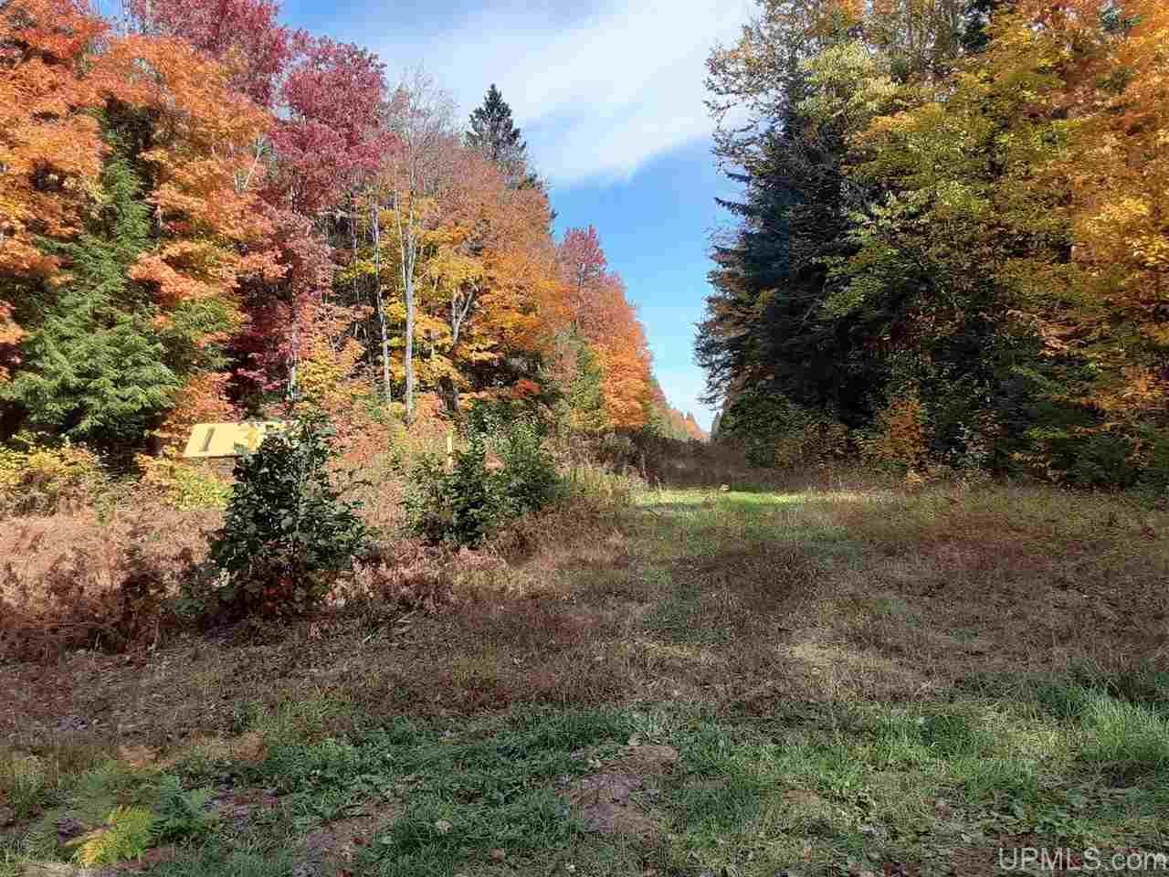 40 acres in Gogebic County, Michigan