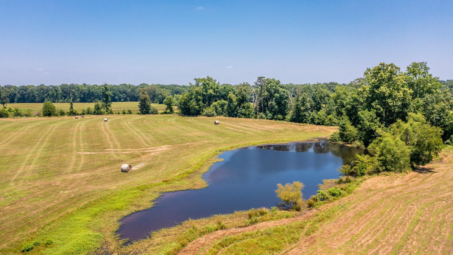 460 acres in Sevier County, Arkansas