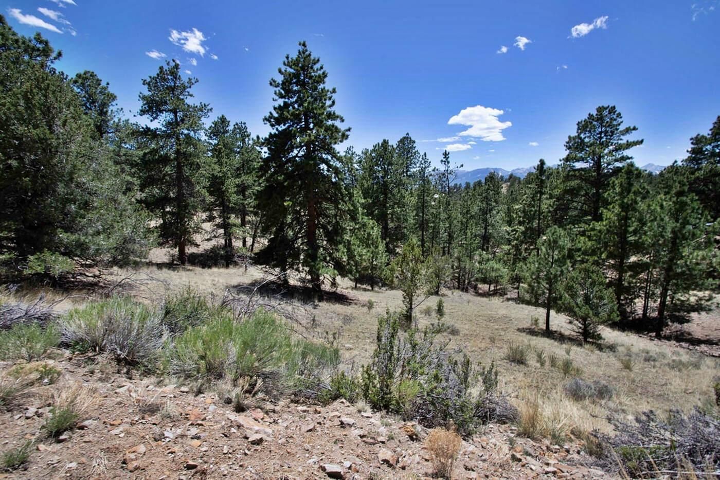 1.38 acres in Custer County, Colorado