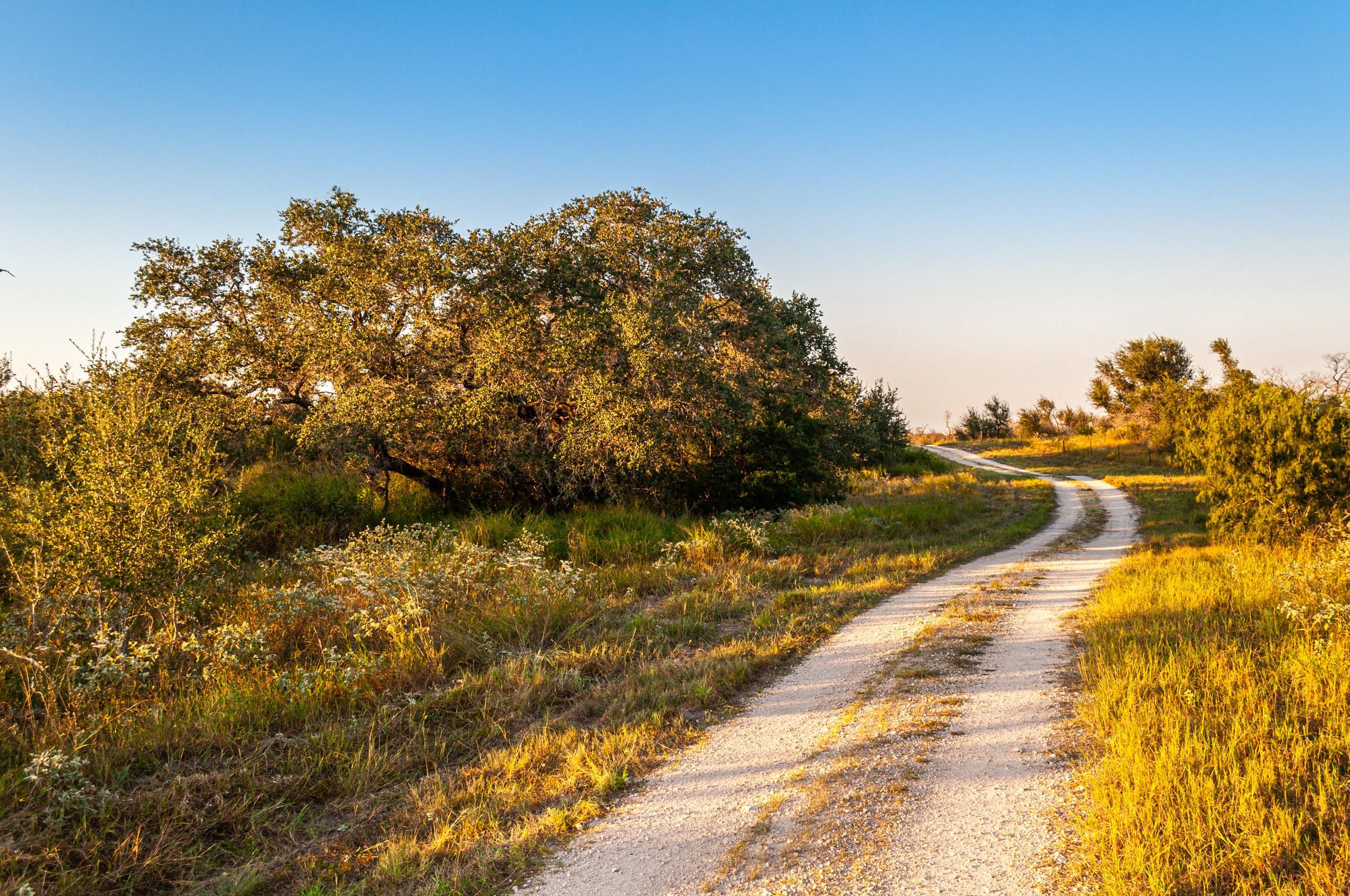 1,719 acres in Falfurrias, TX, 78355