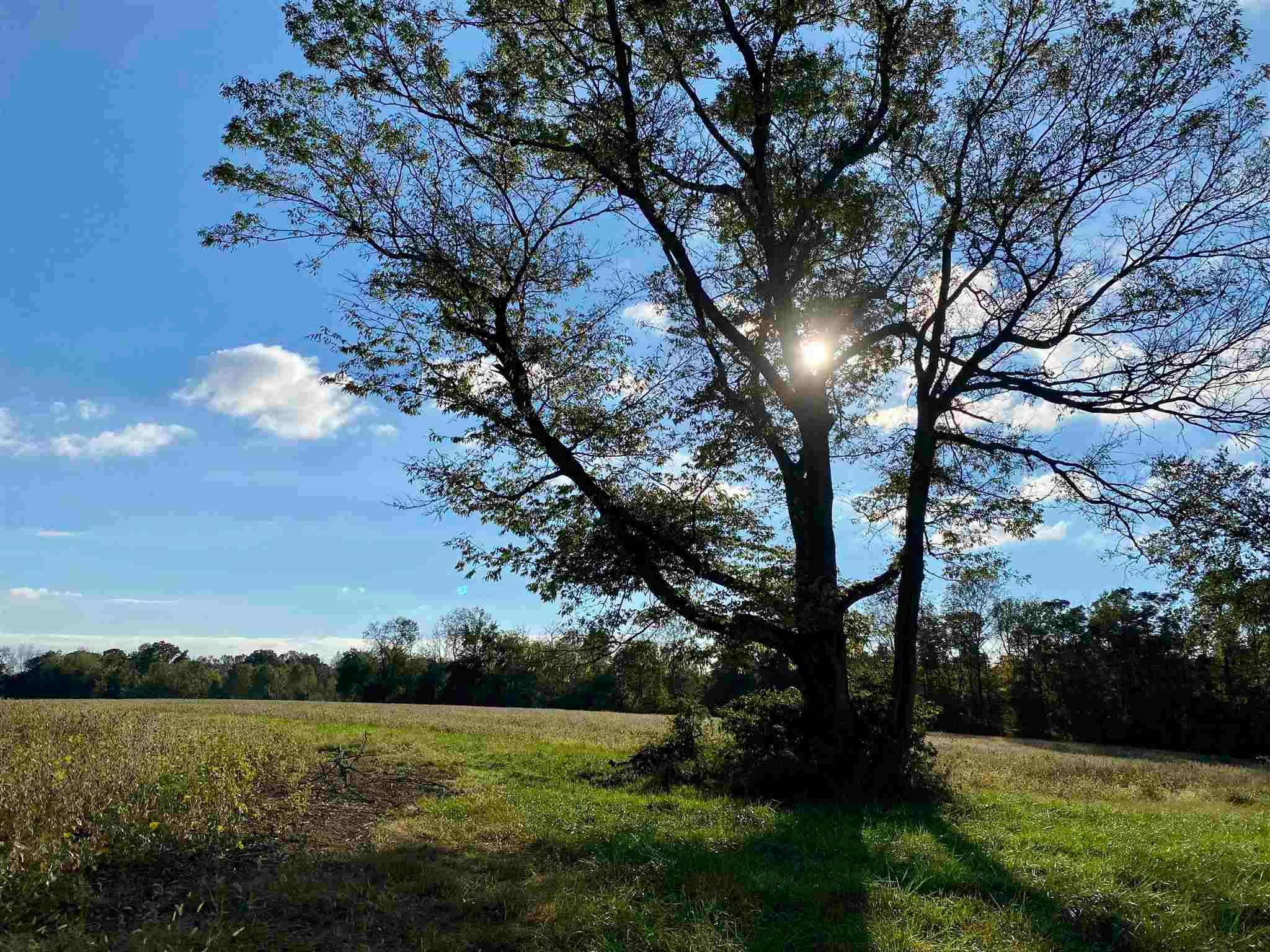 160 acres in Jefferson County, Indiana