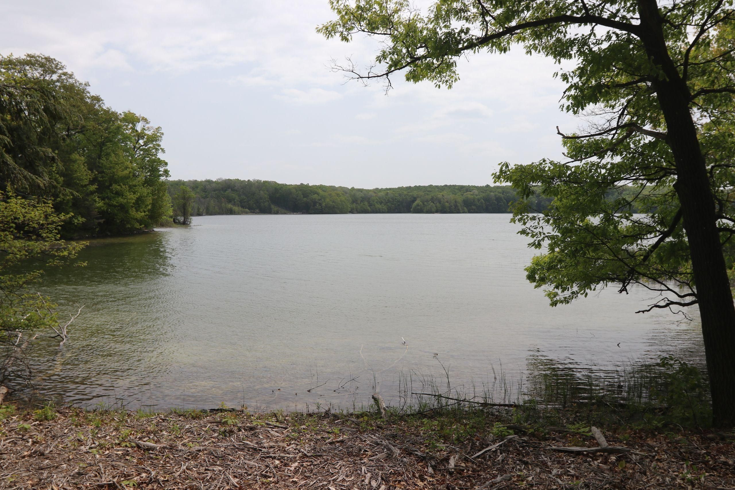 4.17 acres in Antrim County, Michigan