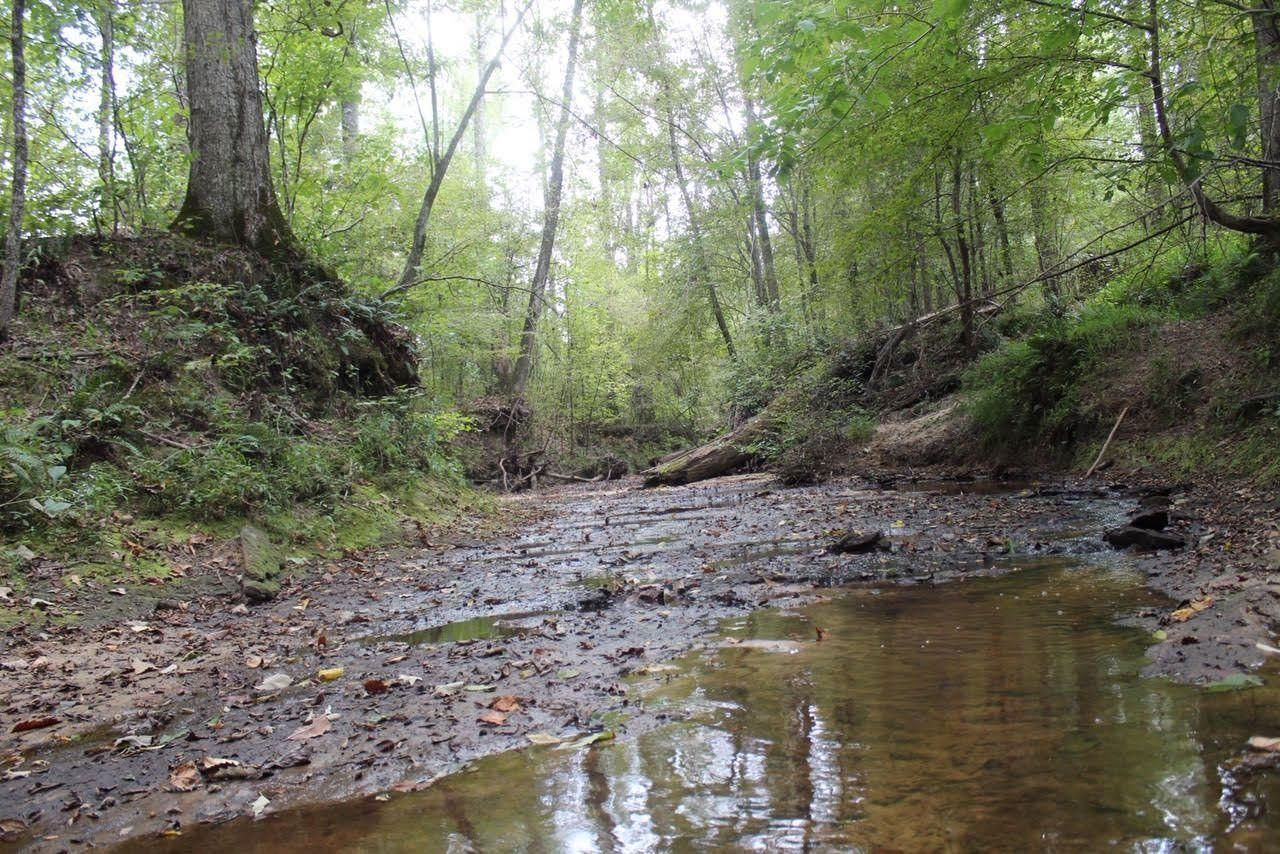 80 acres in Choctaw County, Mississippi