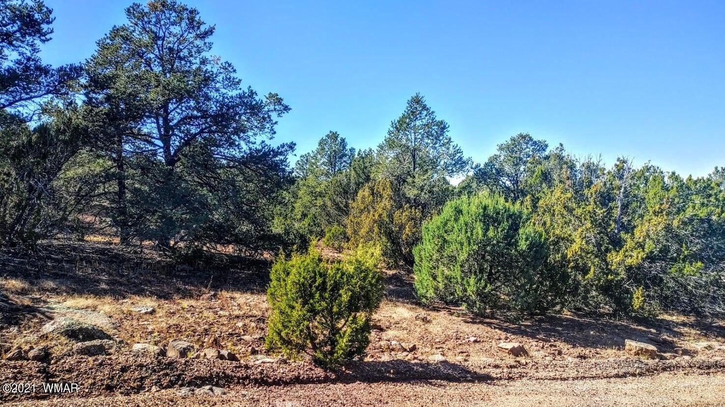 40 acres in Apache County, Arizona