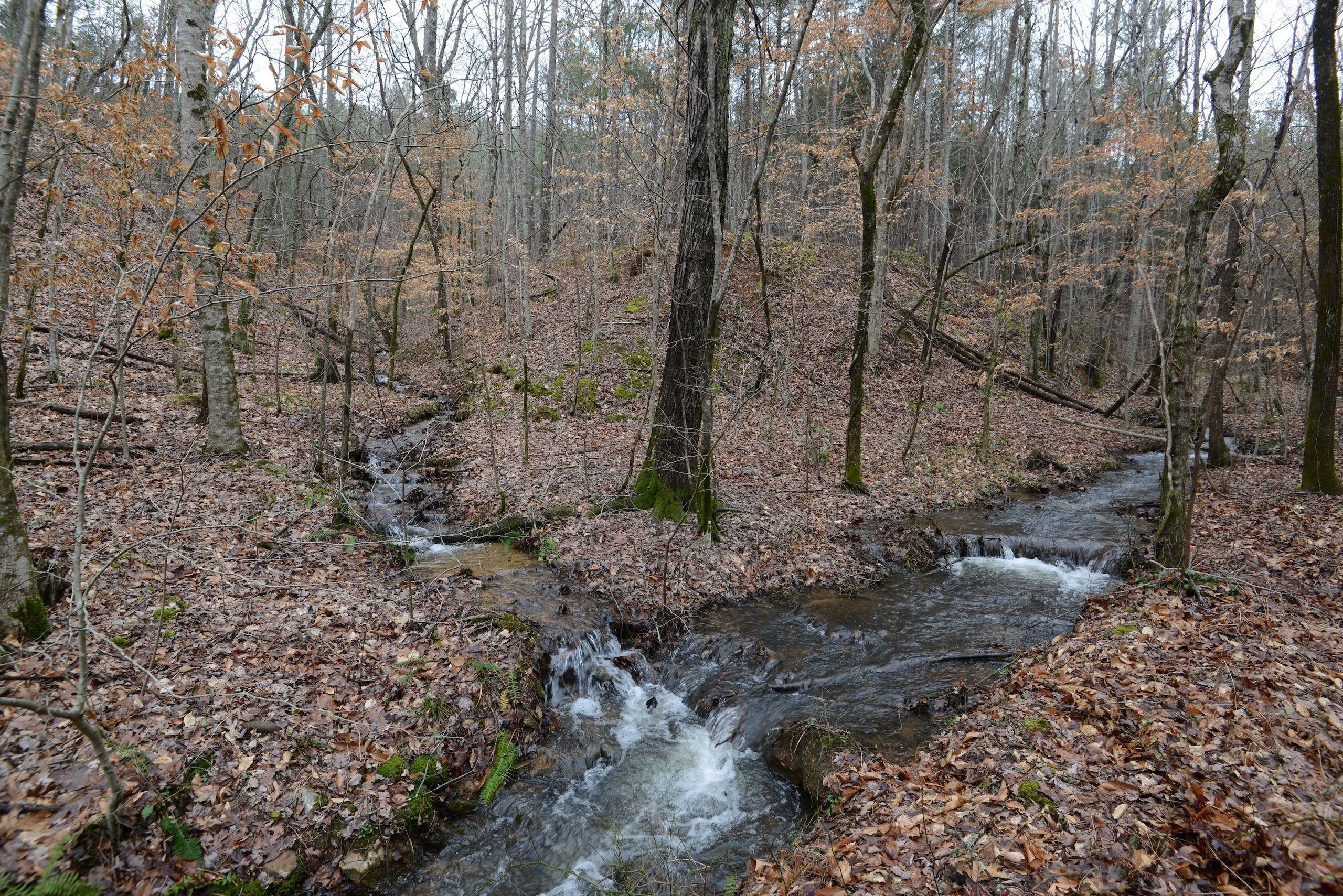 100 acres in Cleburne County, Alabama