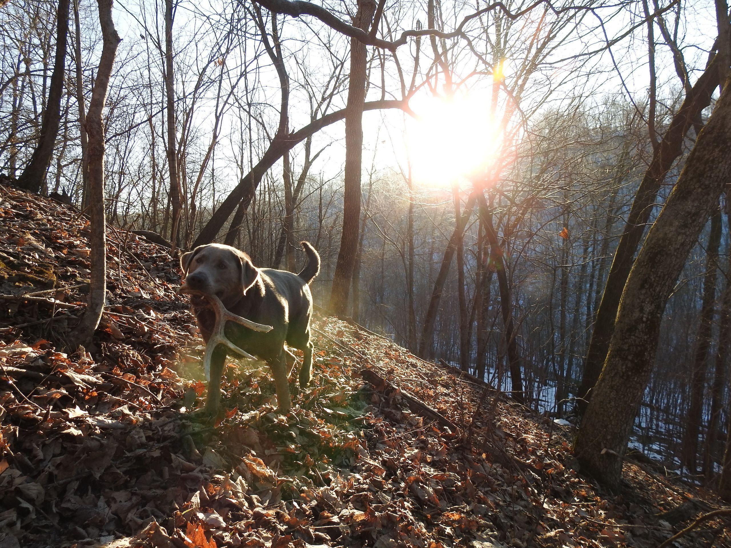 80 acres in Clayton County, Iowa